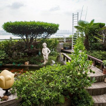 武汉老人花十年造私人“空中花园” 可见江景