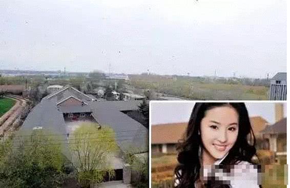 杨采钰疑似搬进刘亦菲曾居住的豪宅，相差30岁的爱情能结果吗？