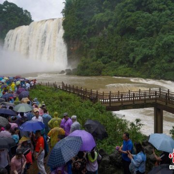 贵州黄果树瀑布进入丰水期吸引大批游客